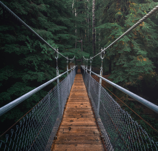 services-02 Services 02