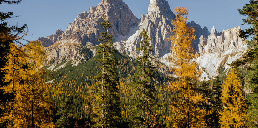 services-bg Services Bg